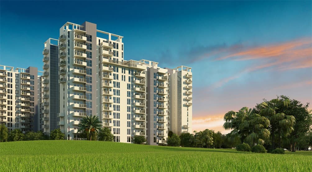 Tulip Homes