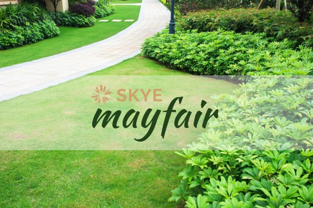 Skye Mayfair